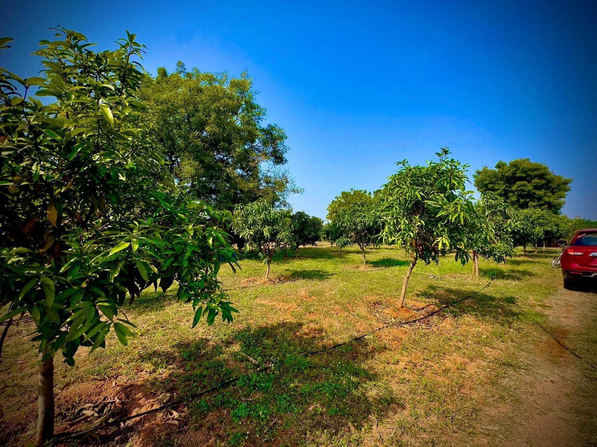 Mangohut Farmhouse Pool Villa Hyderabad Ngoại thất bức ảnh