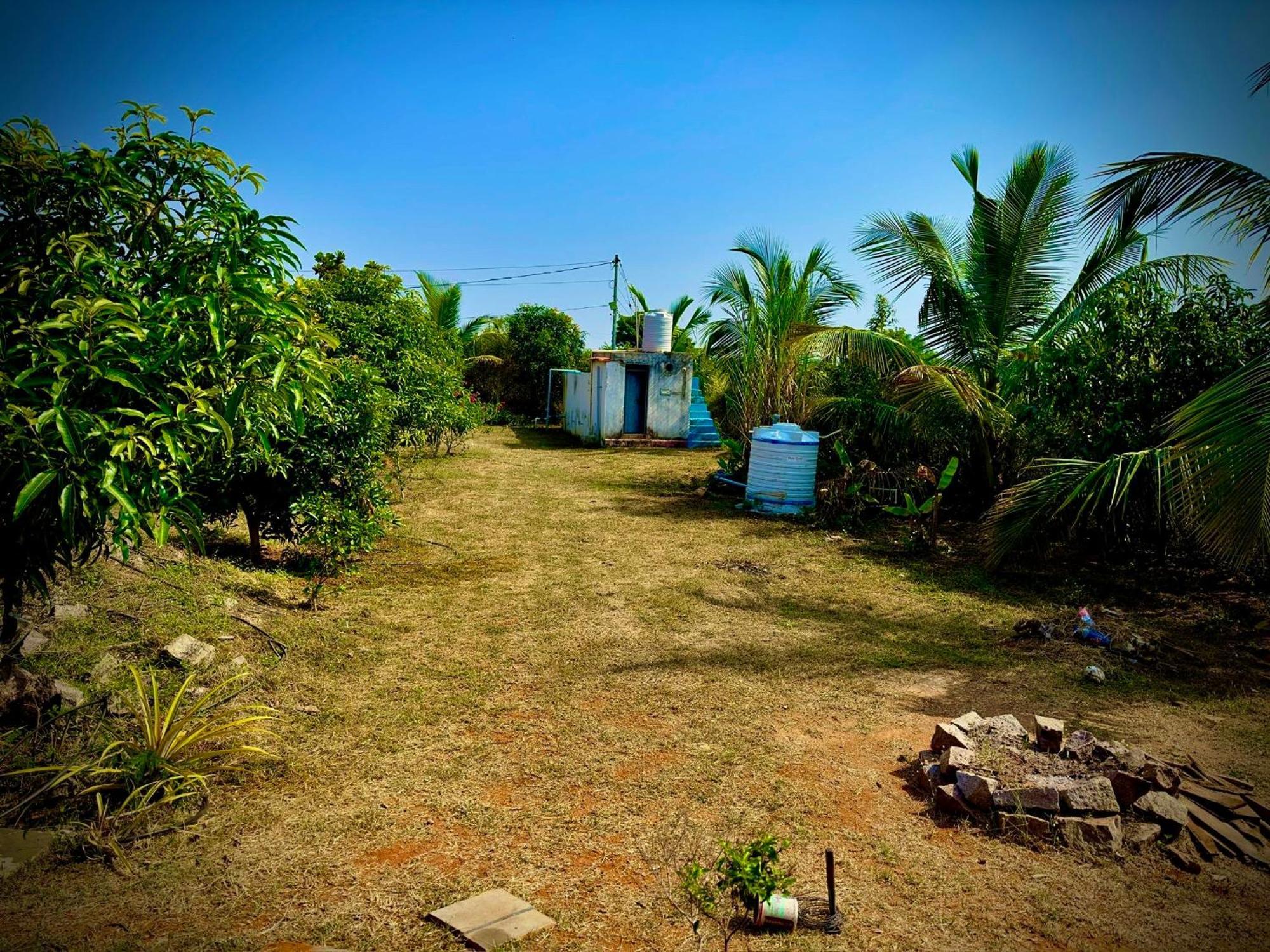 Mangohut Farmhouse Pool Villa Hyderabad Ngoại thất bức ảnh